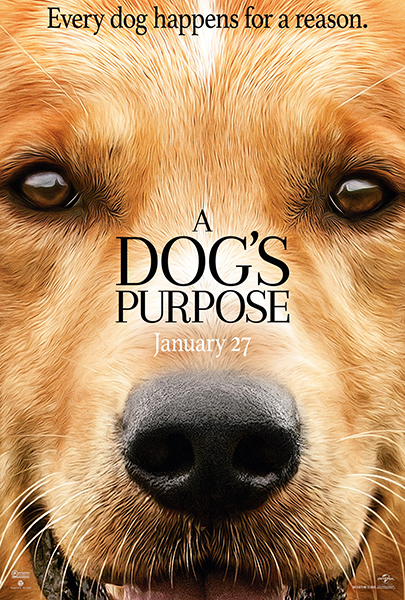 A Dog’s Purpose (2017) Movie Poster