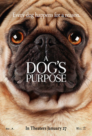 A Dog’s Purpose (2017) Movie Poster