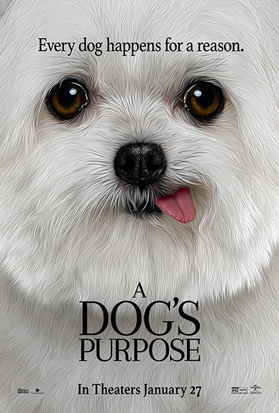 A Dog’s Purpose (2017) Movie Poster
