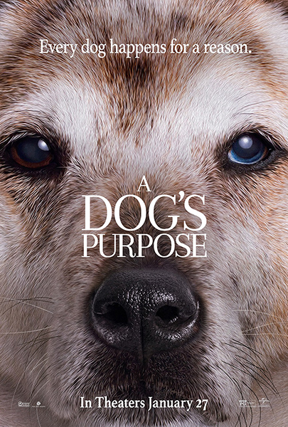 A Dog’s Purpose (2017) Movie Poster