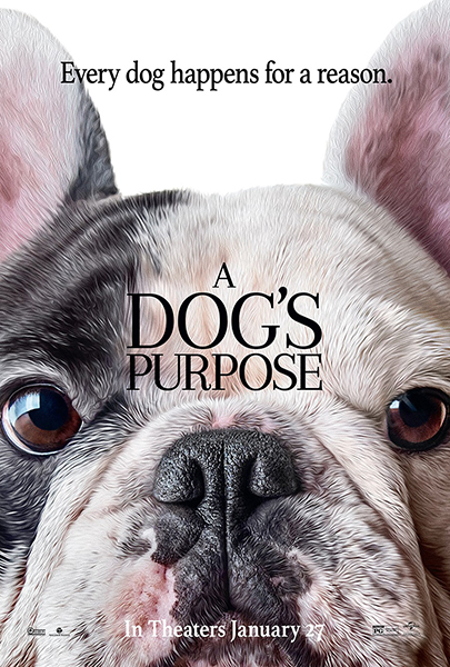 A Dog’s Purpose (2017) Movie Poster