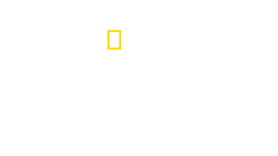 Jaws @ 50: The Definitive Inside Story